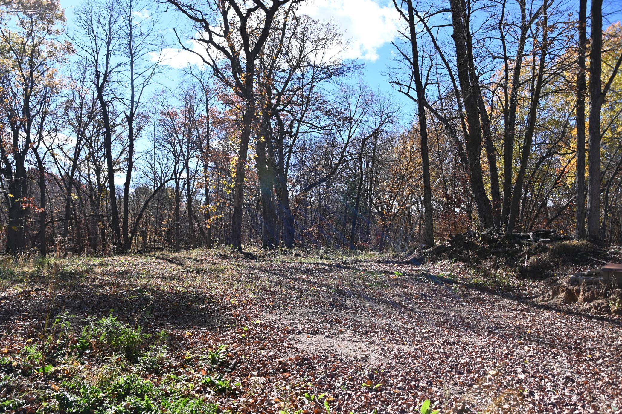 DSC_8618.JPG