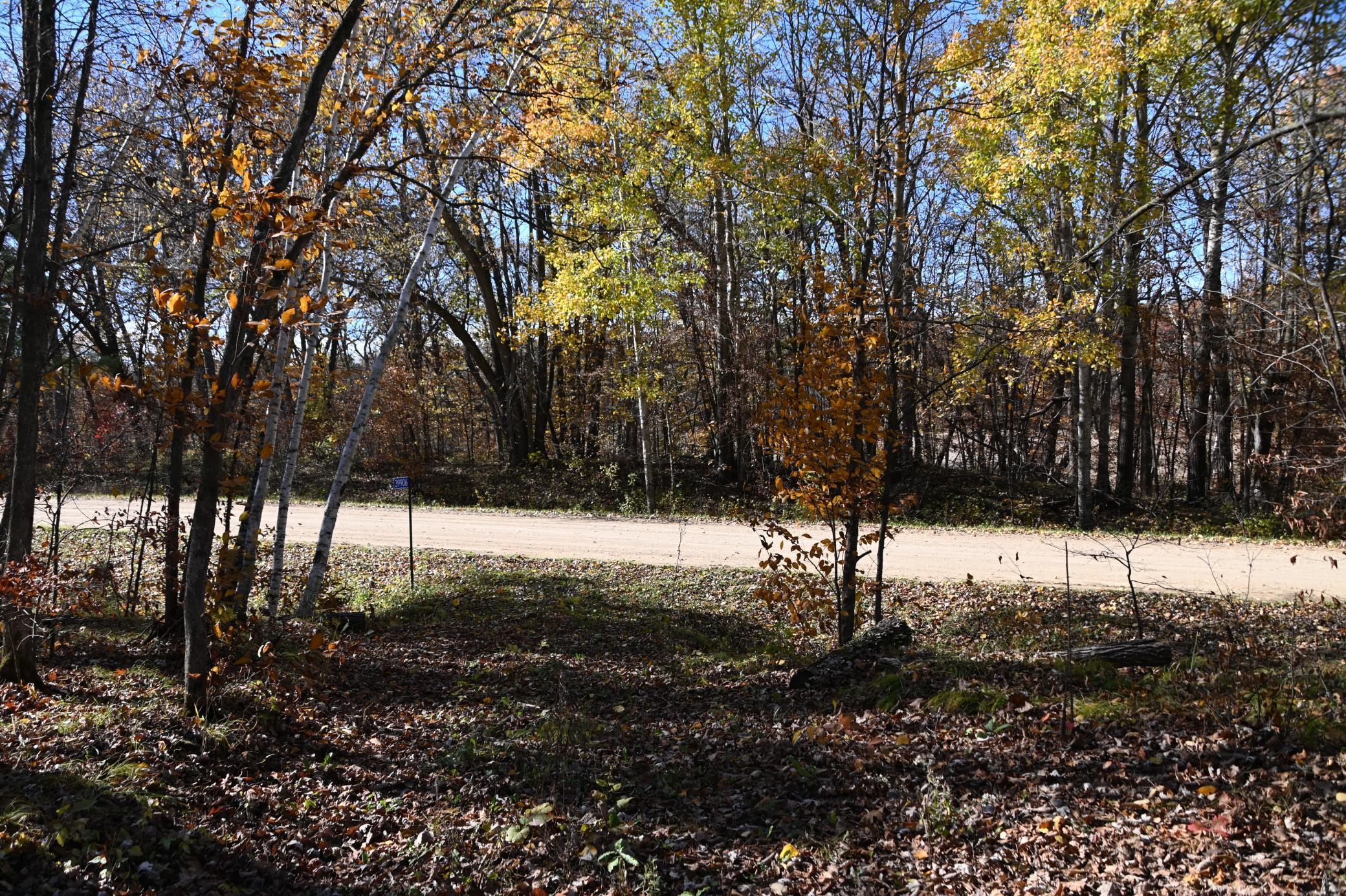 DSC_8623.JPG