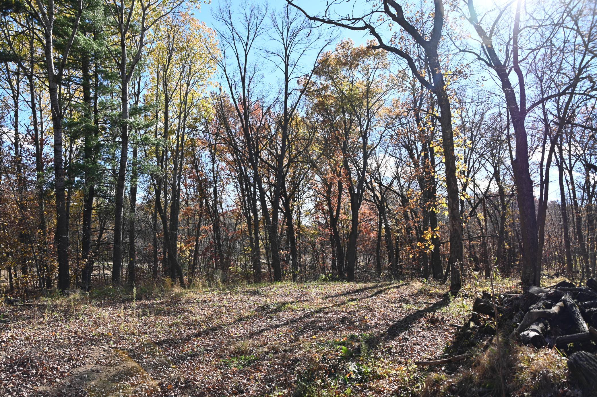 DSC_8621.JPG