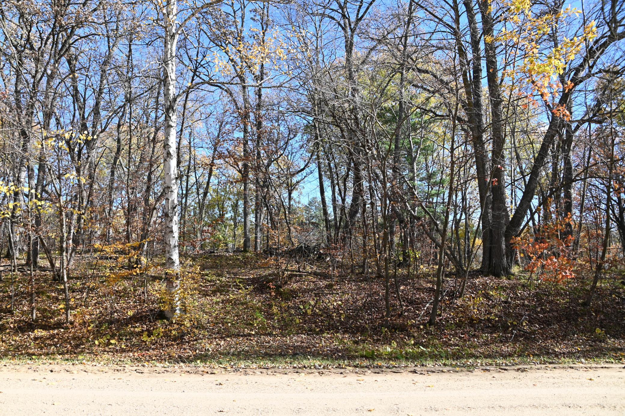 DSC_8630.JPG