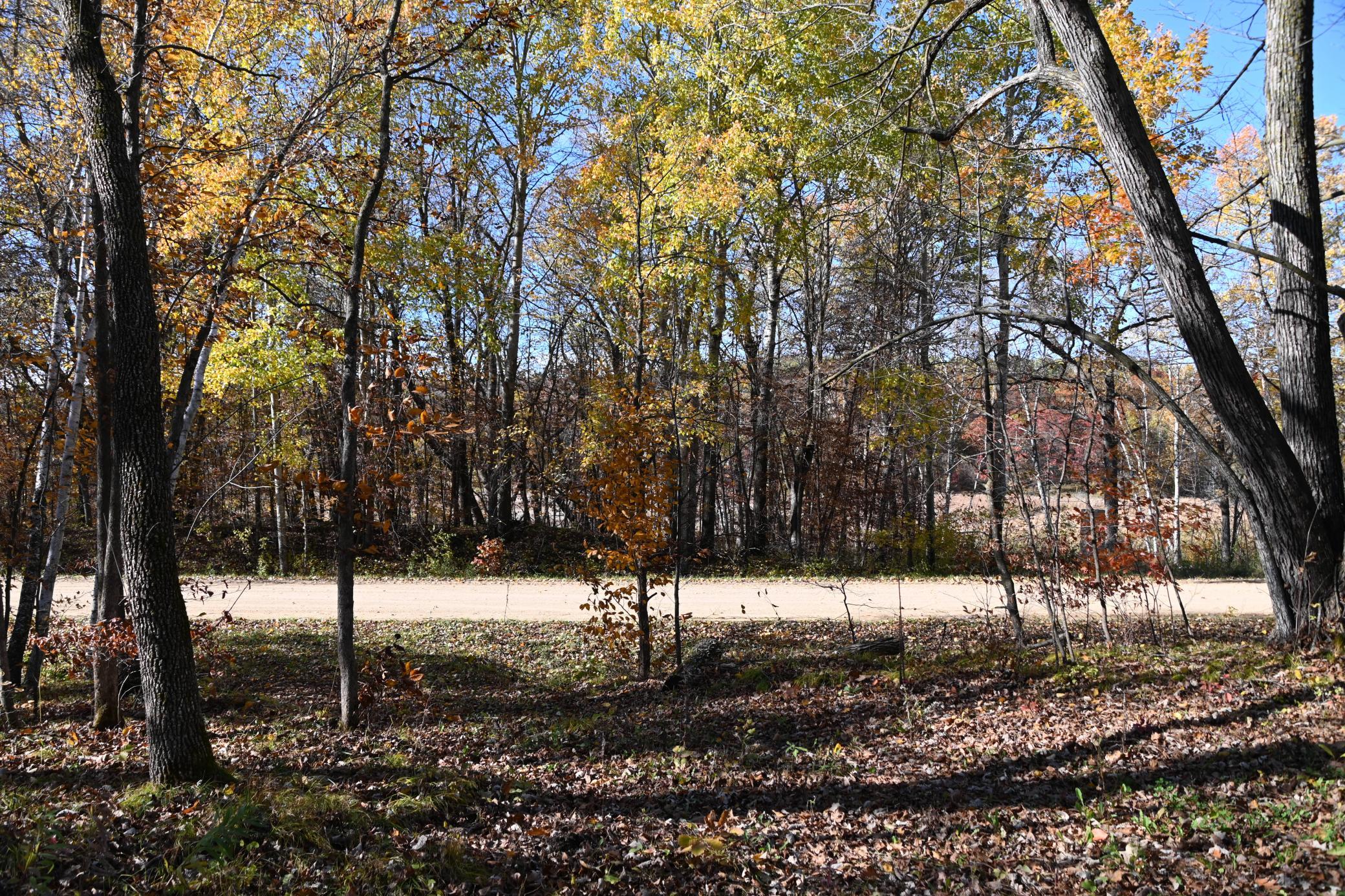 DSC_8626.JPG