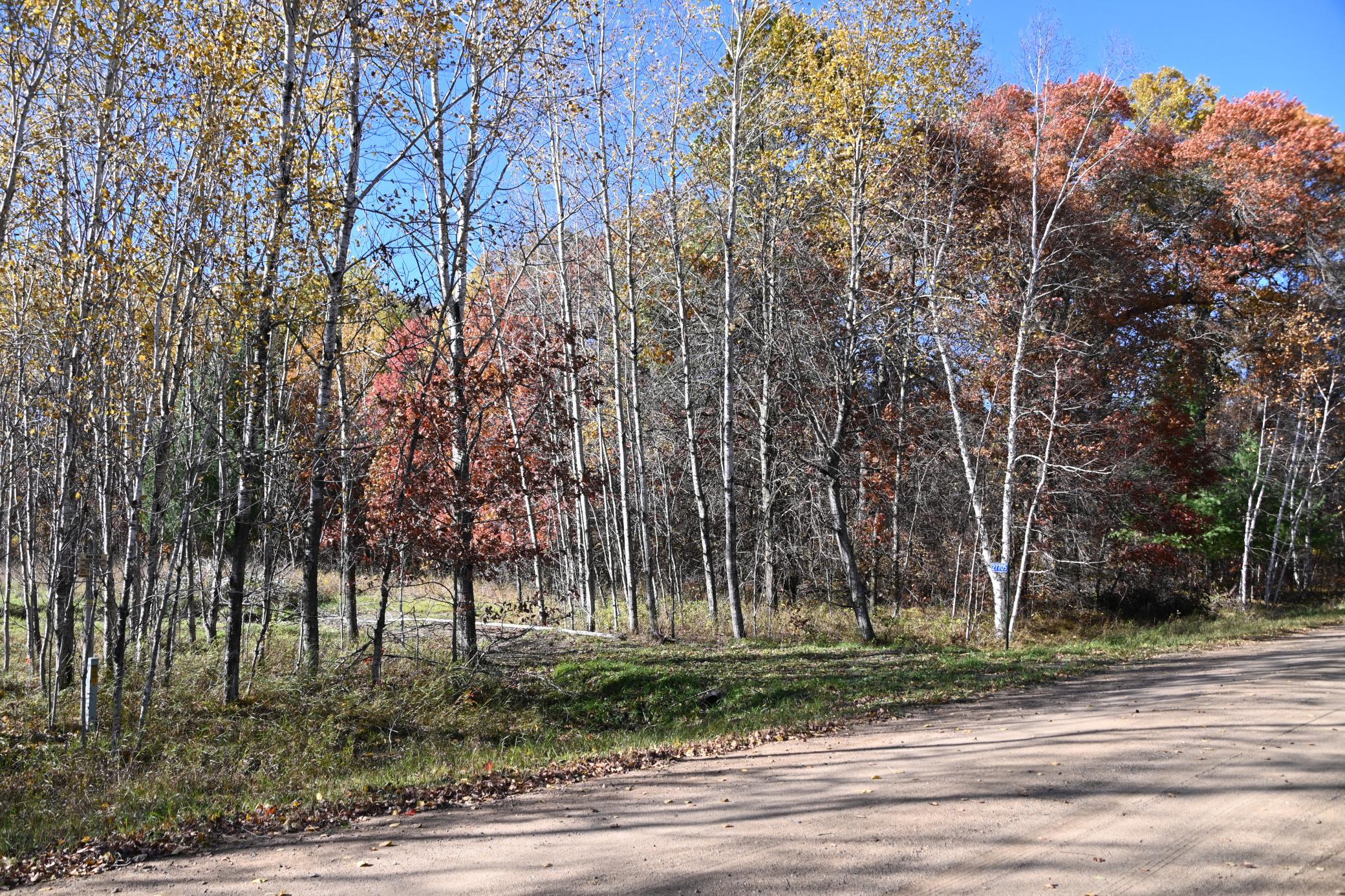 DSC_8541.JPG
