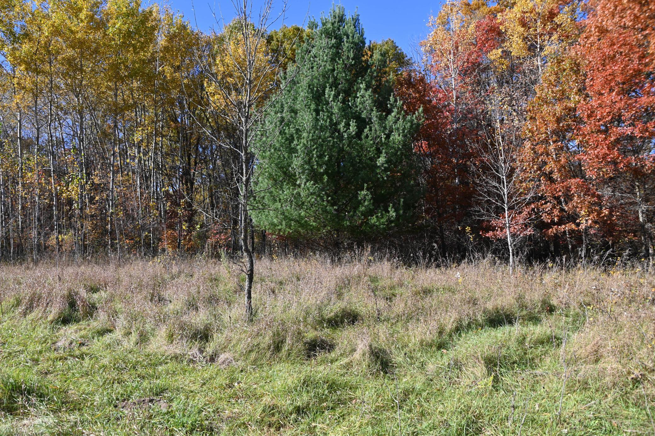 DSC_8545.JPG