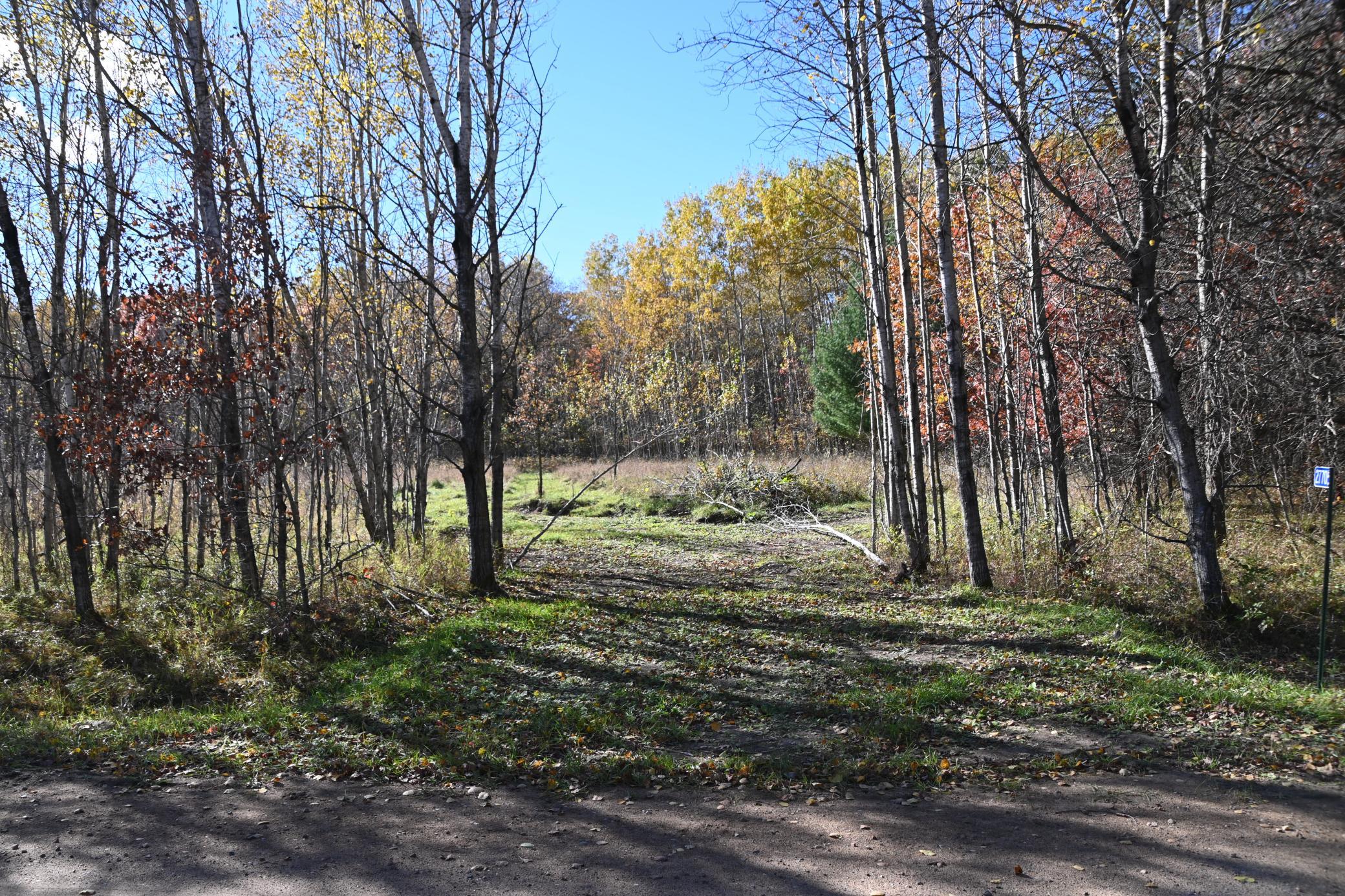 DSC_8537.JPG