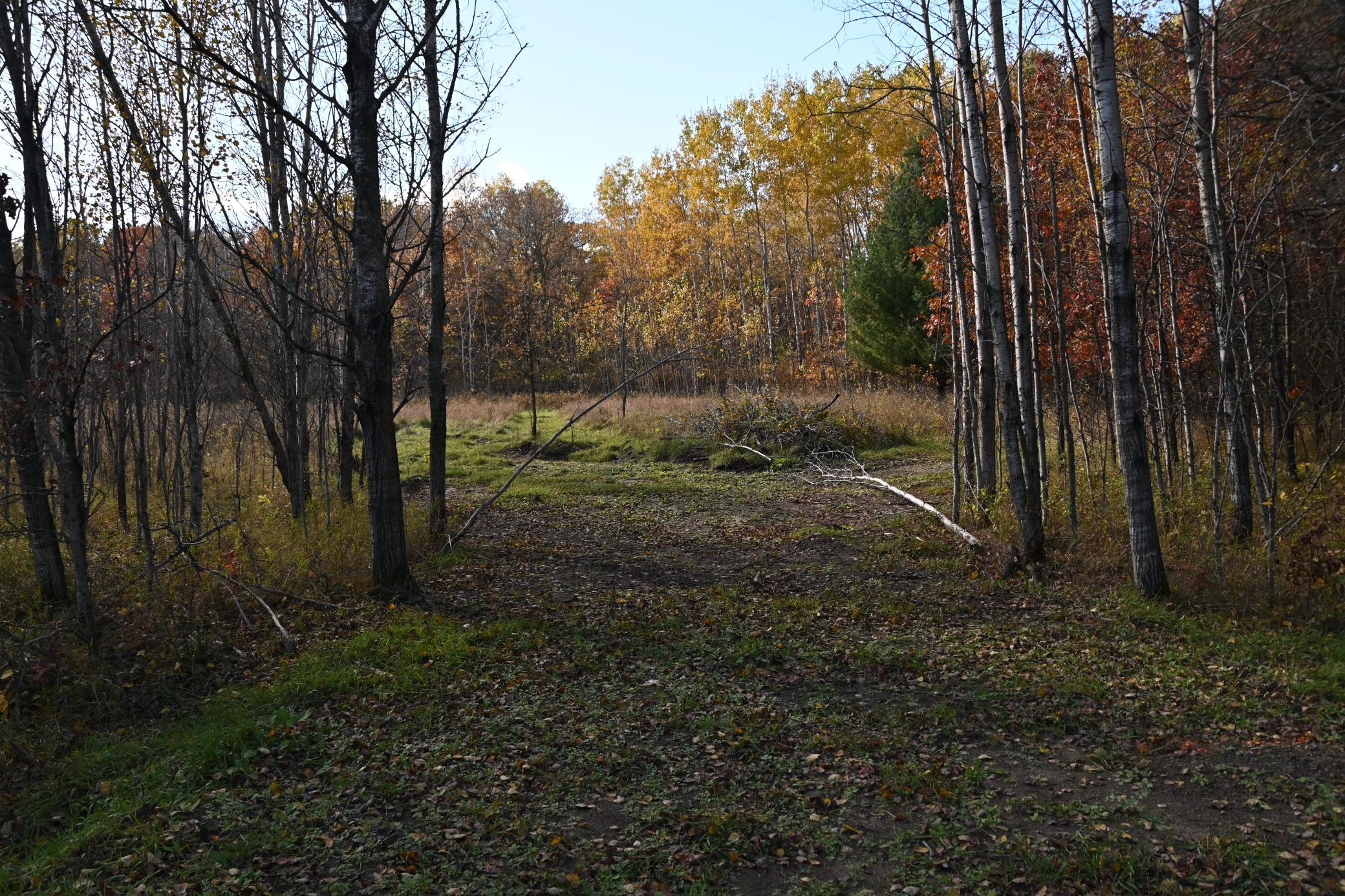 DSC_8543.JPG