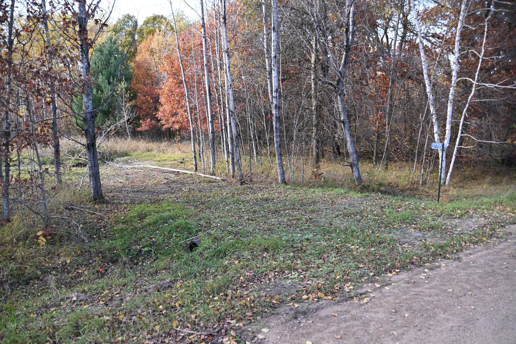DSC_8542.JPG