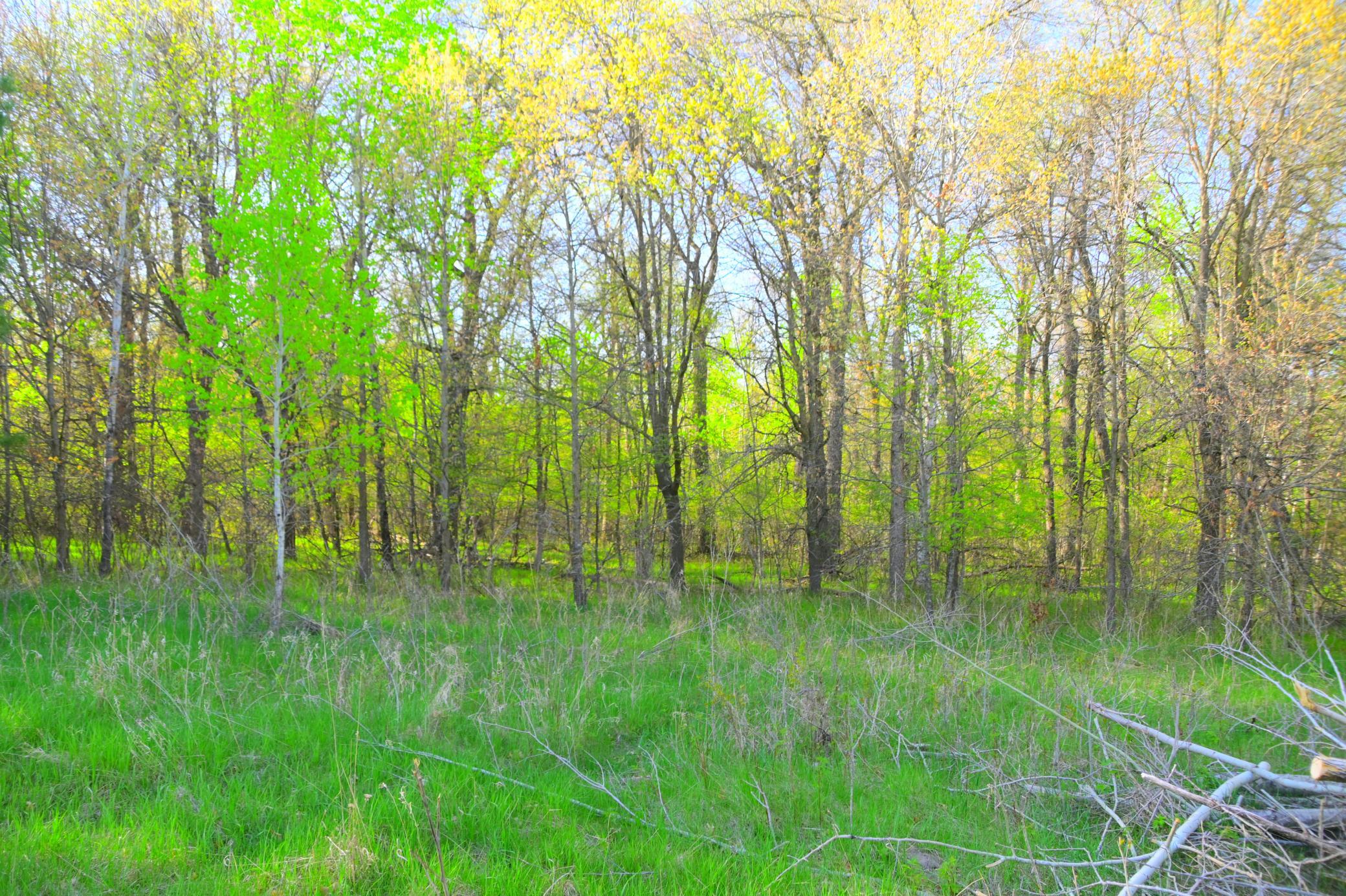 DSC_8210.JPG