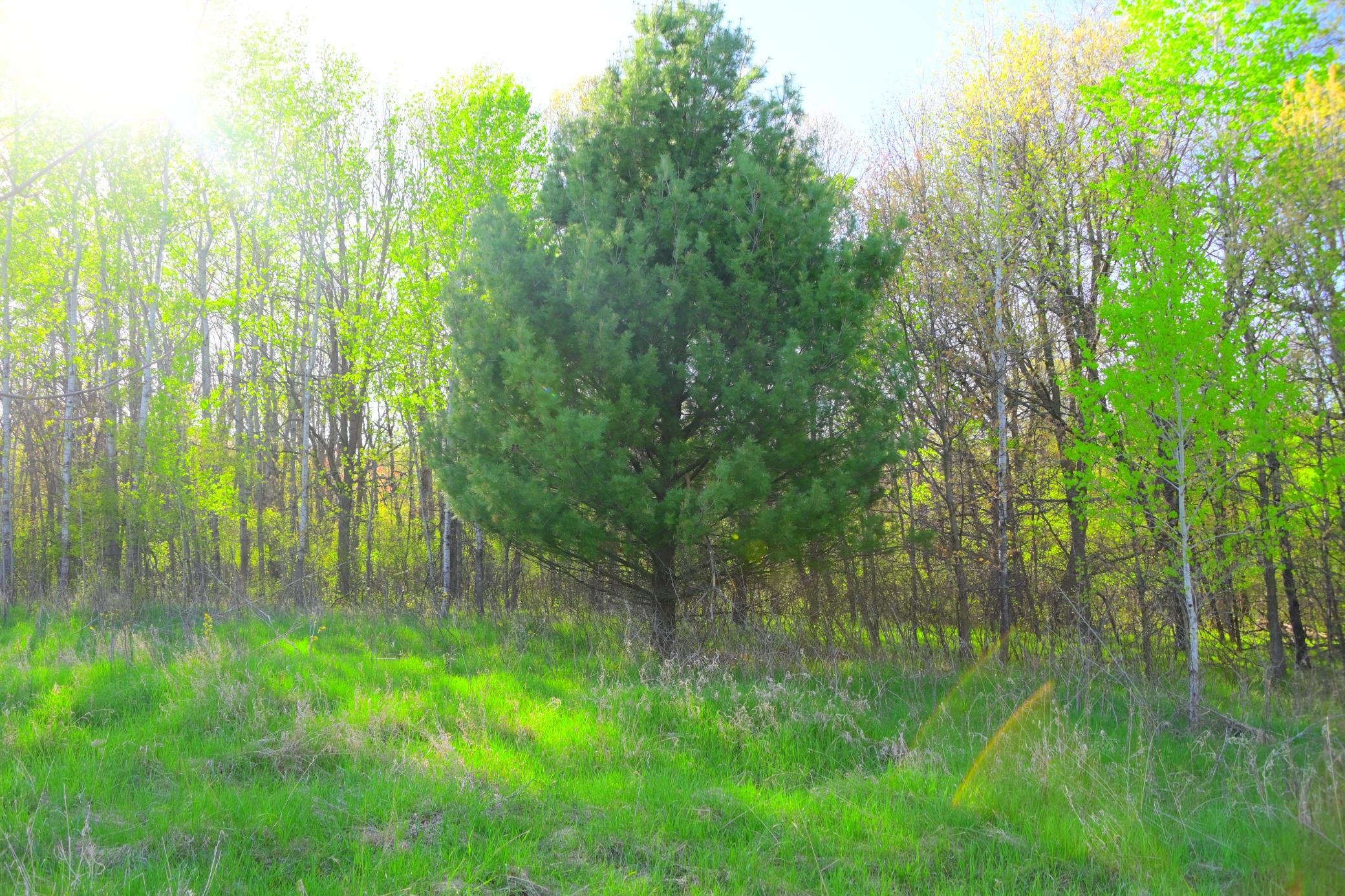 DSC_8211.JPG