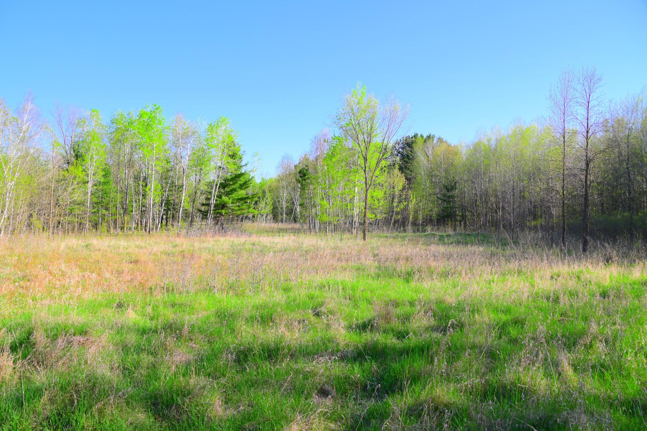 DSC_8214.JPG
