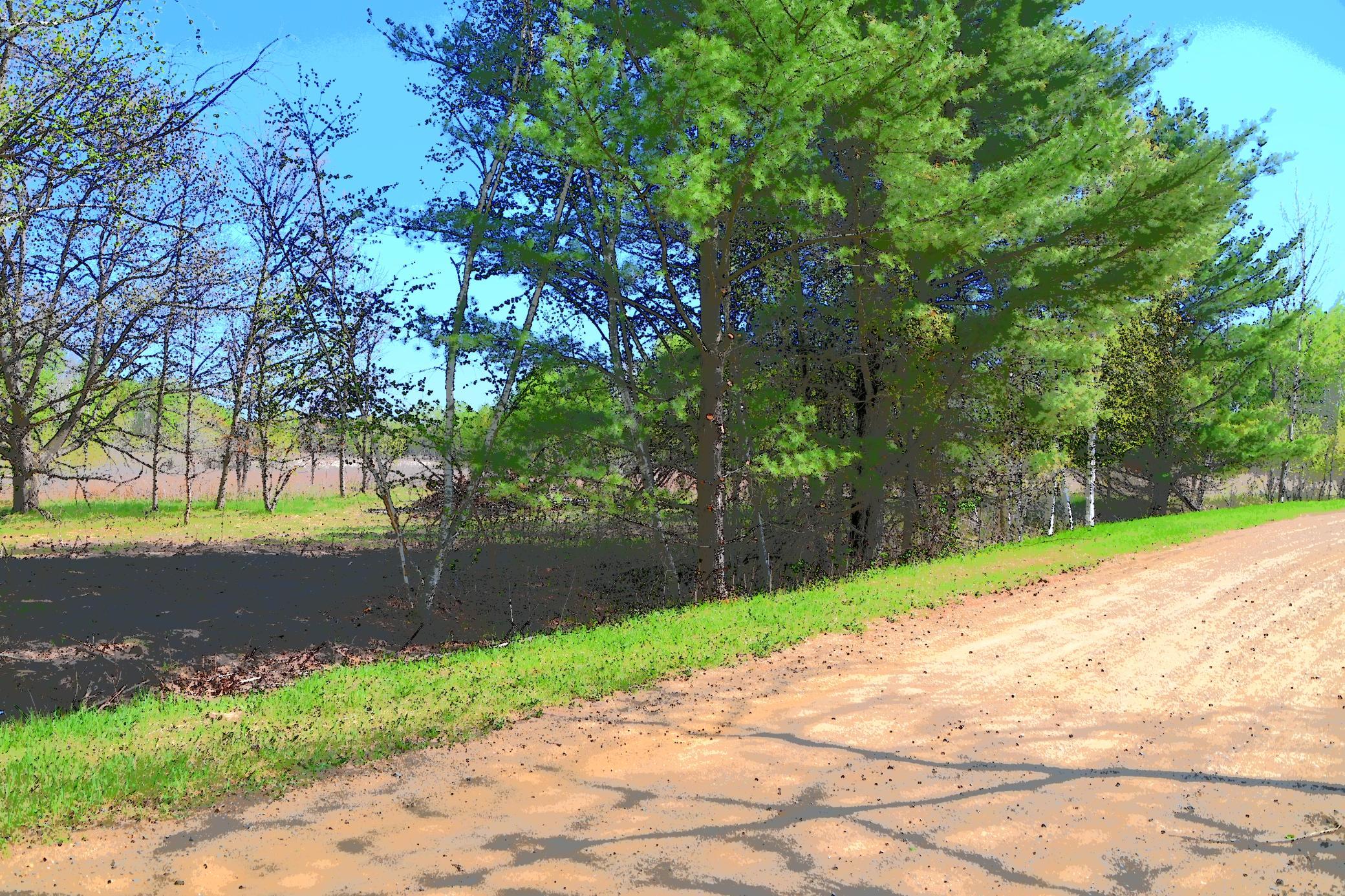 DSC_7953.JPG