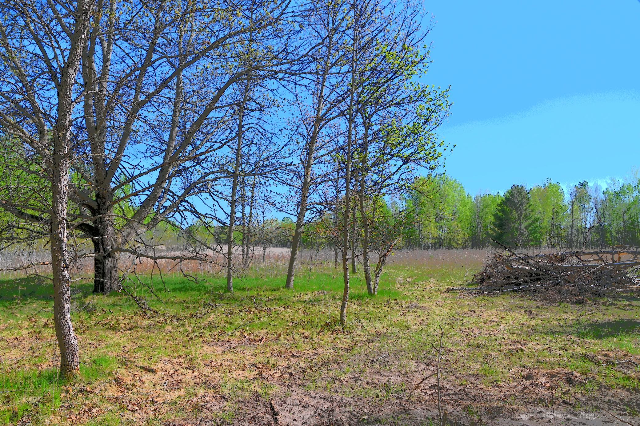 DSC_7958.JPG