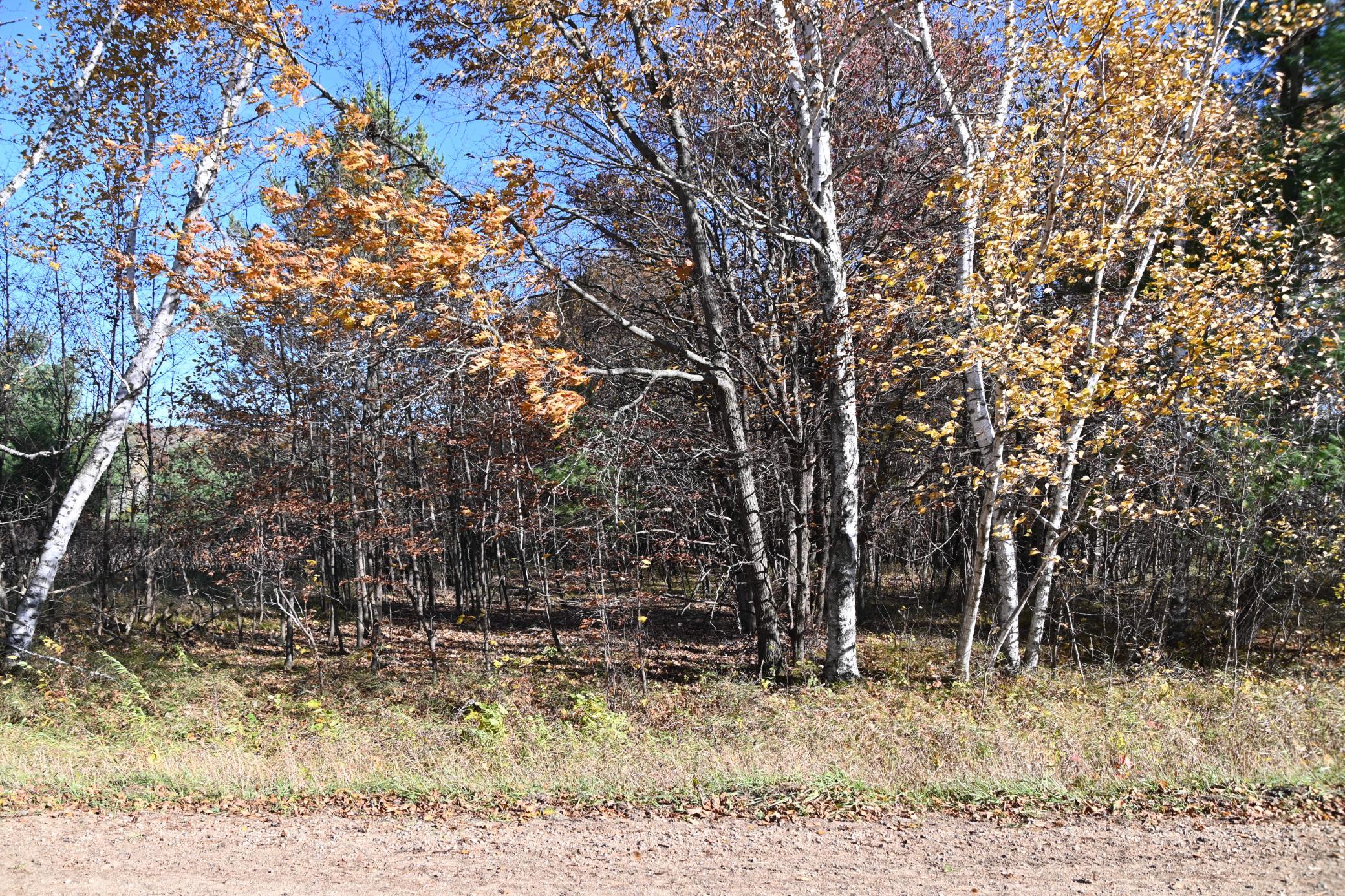 DSC_8571.JPG