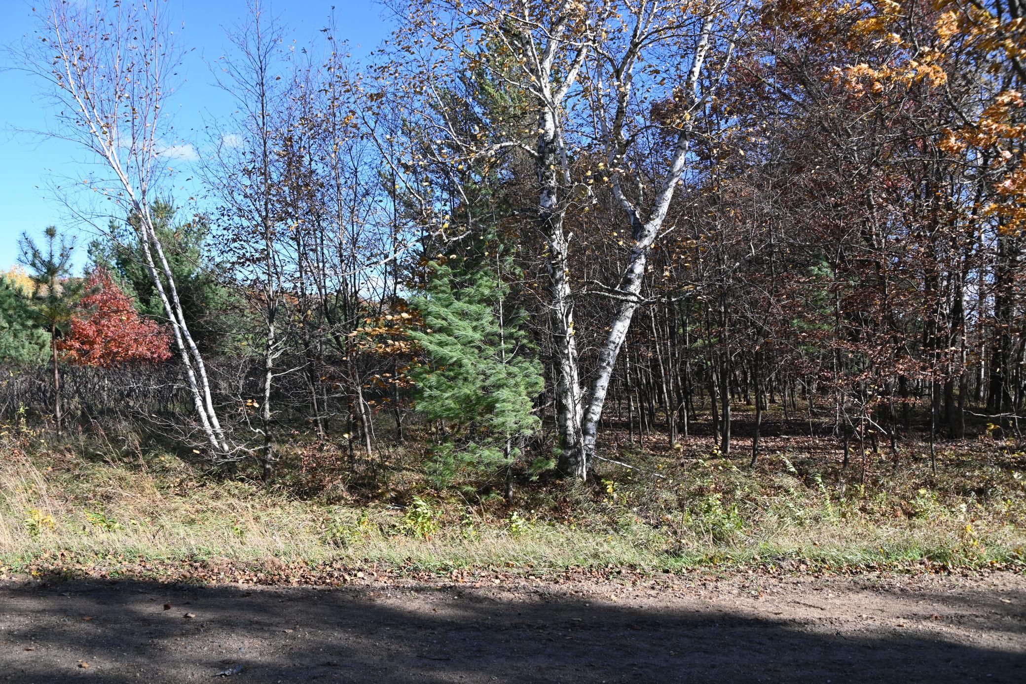 DSC_8572.JPG