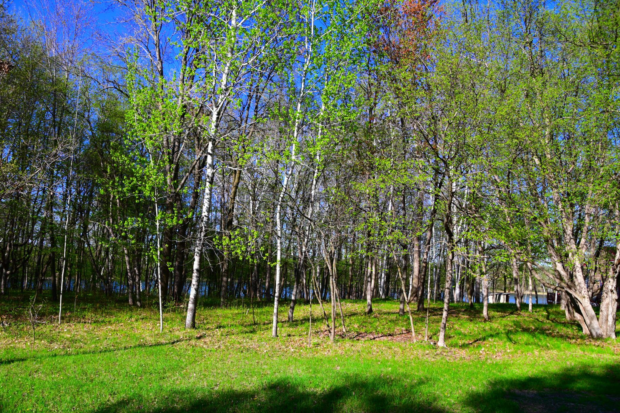 From Road looking toward Lake