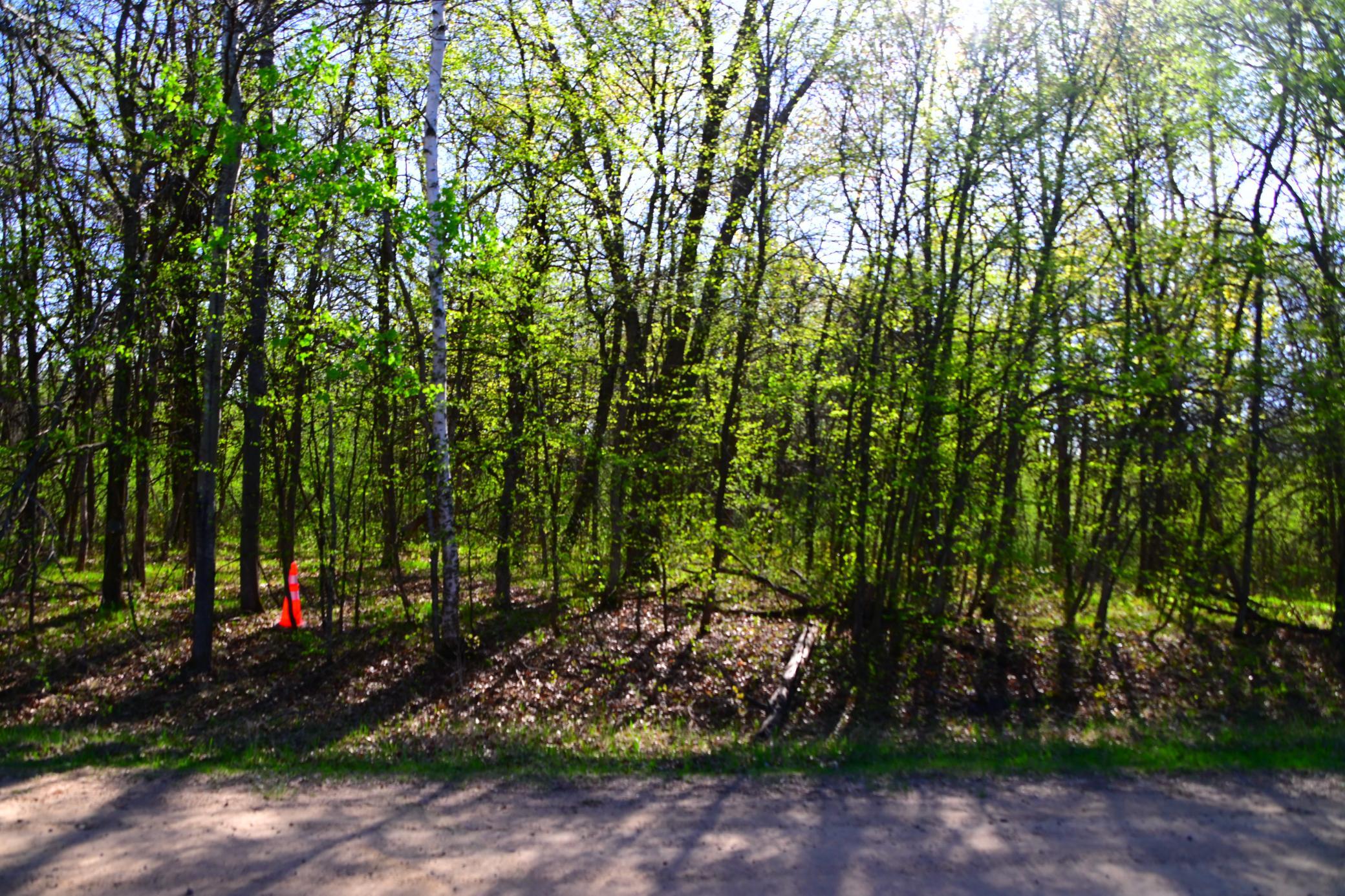 DSC_8112.JPG