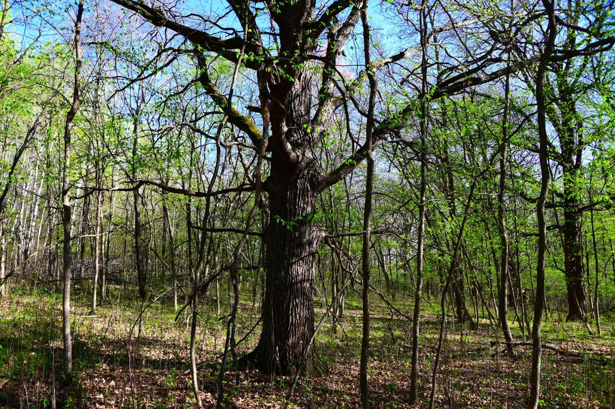 DSC_8140.JPG