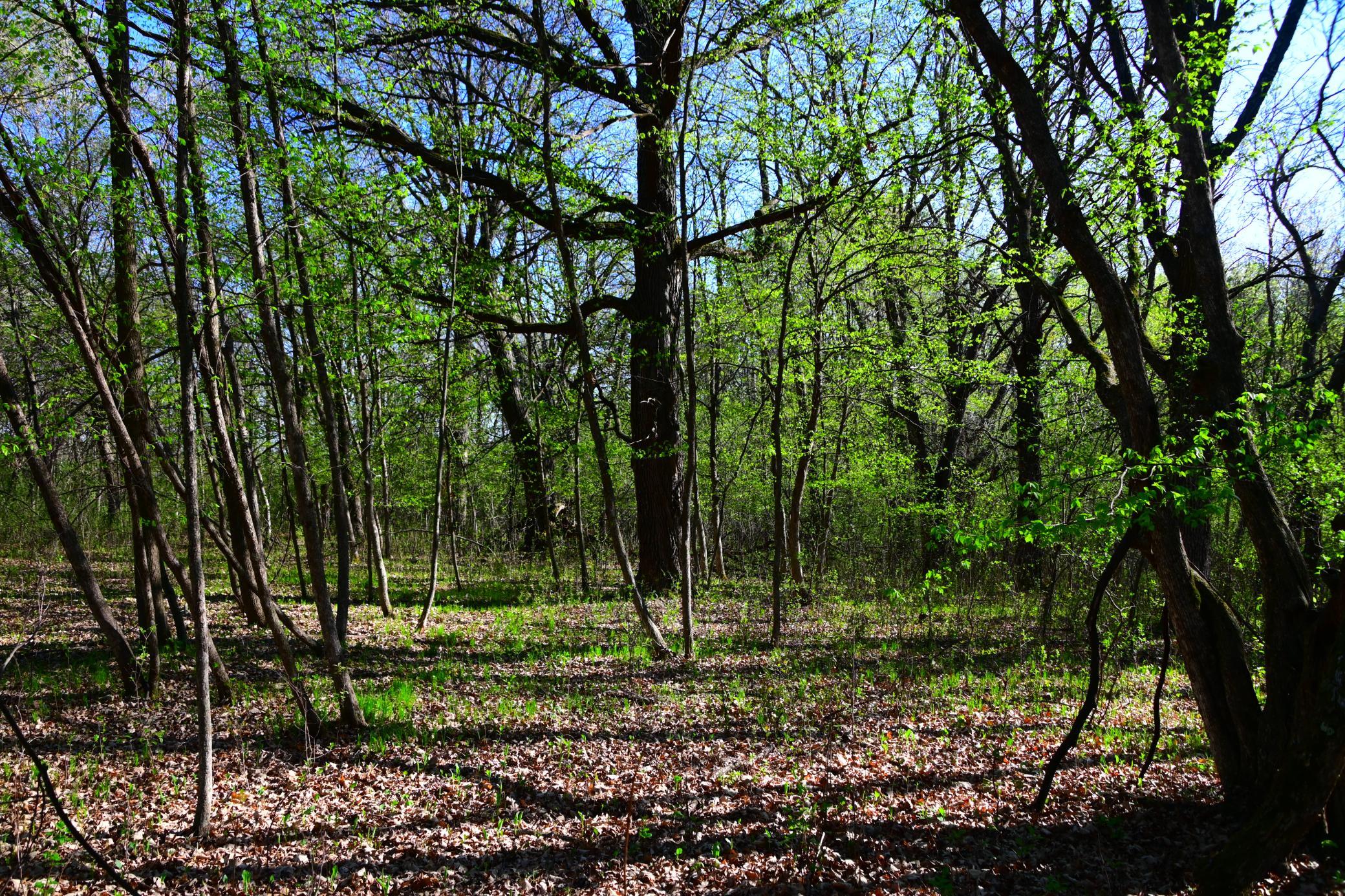 DSC_8143.JPG