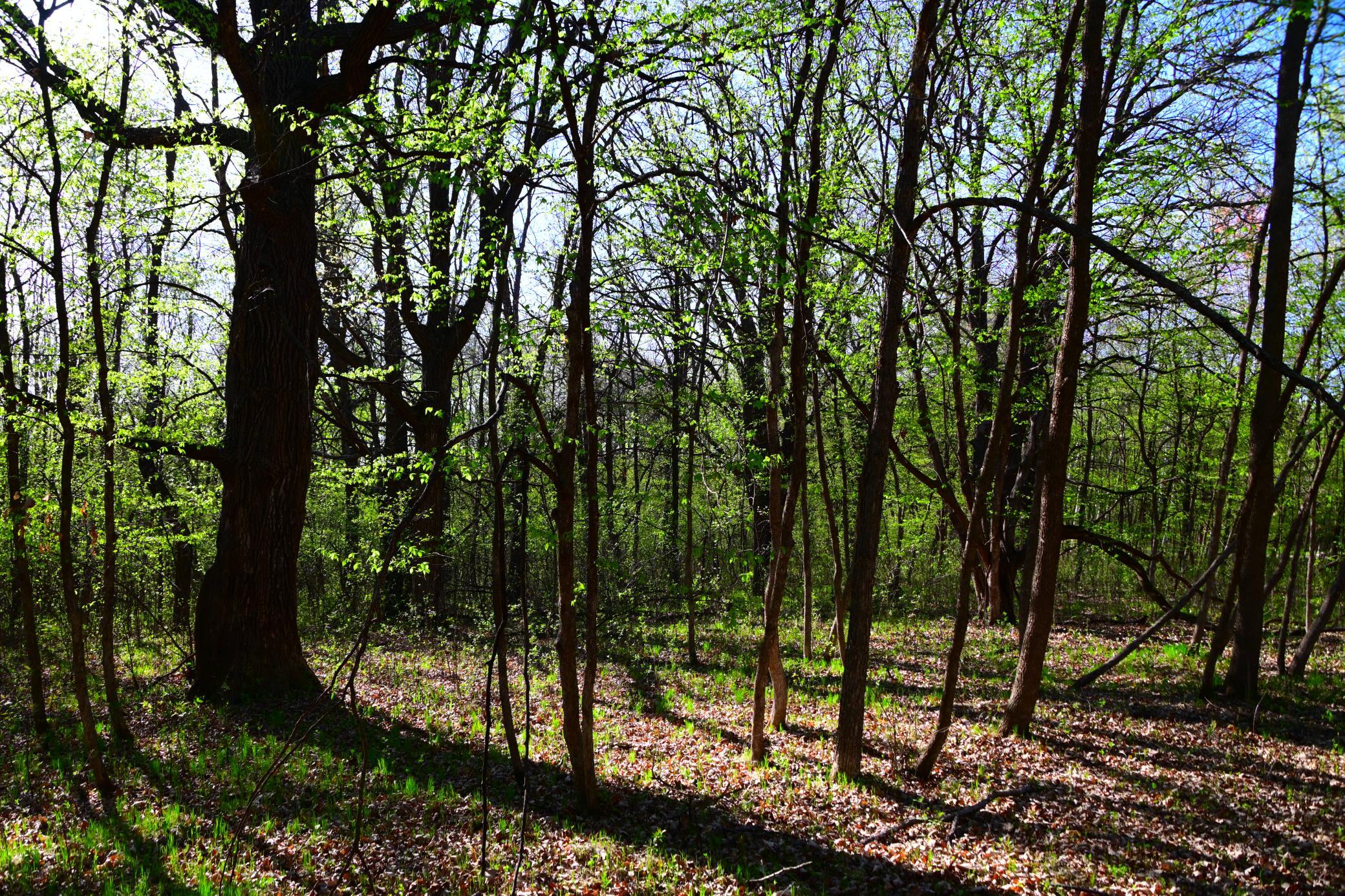 DSC_8149.JPG