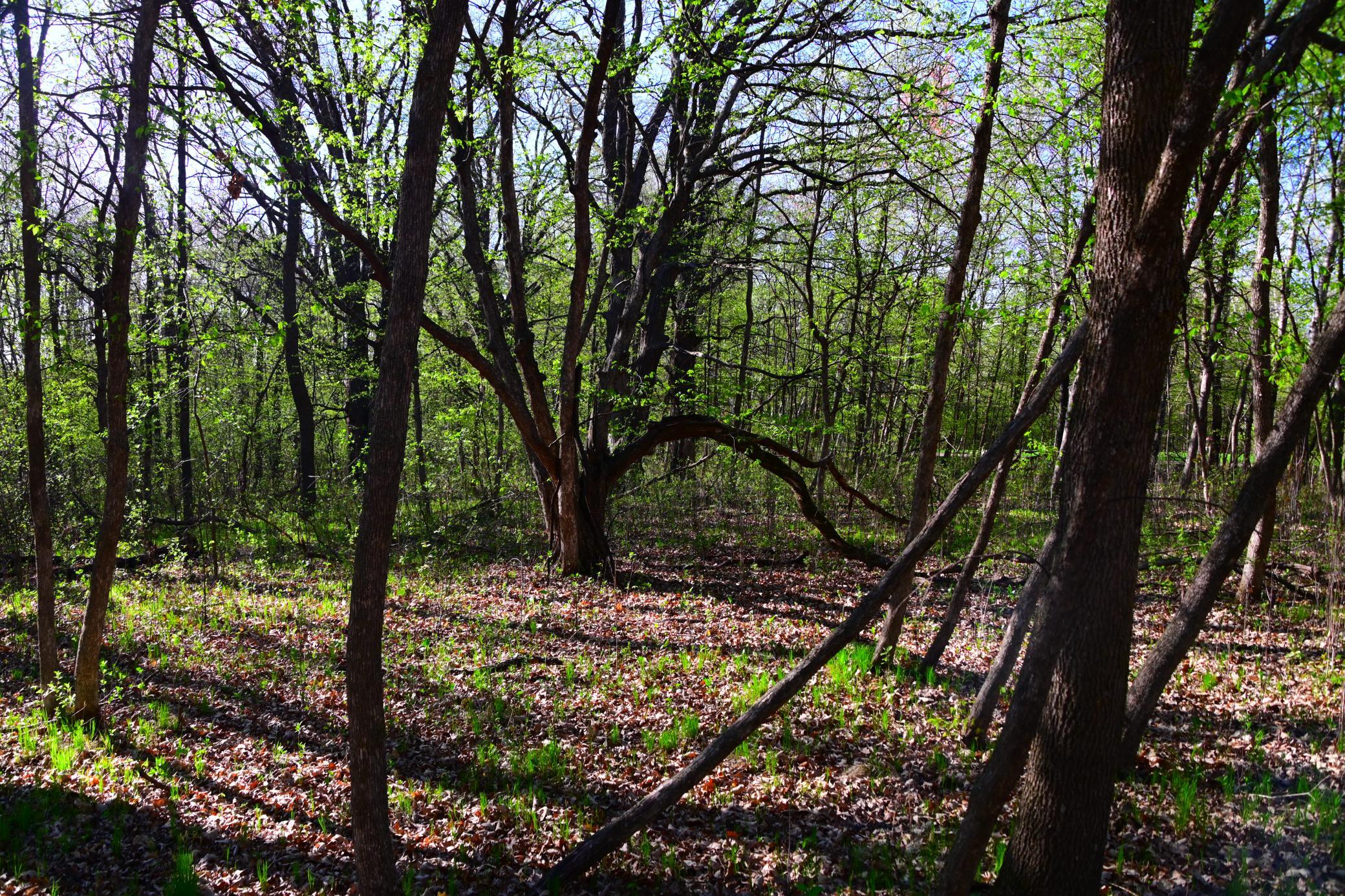 DSC_8152.JPG