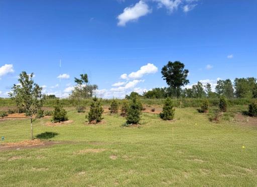 Private backyard, fences allowed, and no neighbor behind!