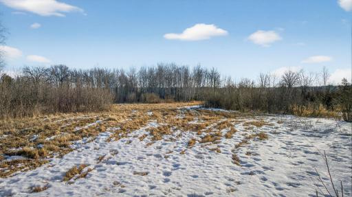 TBD Coneflower Dr. SW Pine River MN 56474_MLS-02.jpg