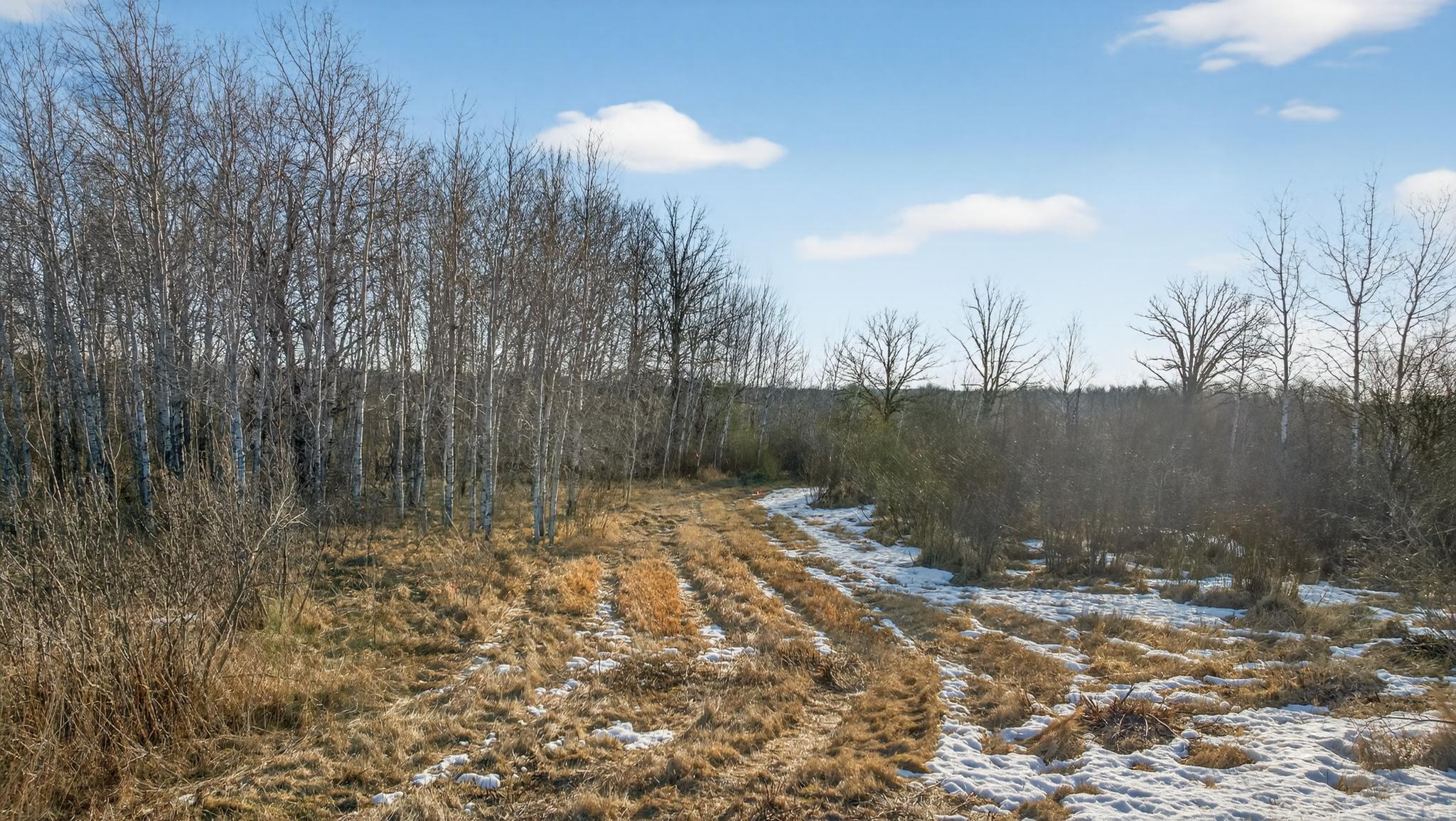 TBD Coneflower Dr. SW Pine River MN 56474_MLS-04.jpg