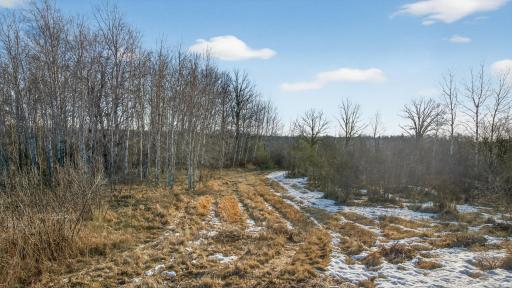 TBD Coneflower Dr. SW Pine River MN 56474_MLS-04.jpg
