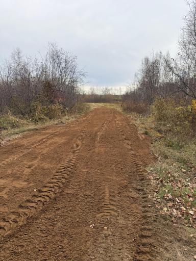 TBD Coneflower Drive SW, Pine River, MN 56474