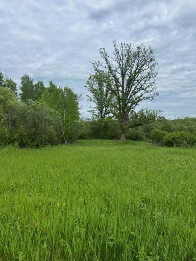 TBD Coneflower Drive SW, Pine River, MN 56474