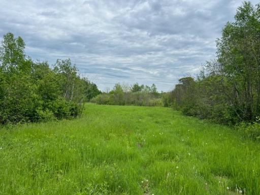 TBD Coneflower Drive SW, Pine River, MN 56474