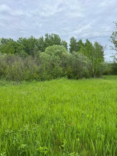 TBD Coneflower Drive SW, Pine River, MN 56474