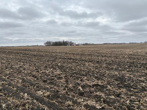2075 80th Street SW, Montevideo, MN 56265
