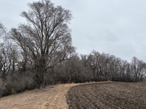 2075 80th Street SW, Montevideo, MN 56265