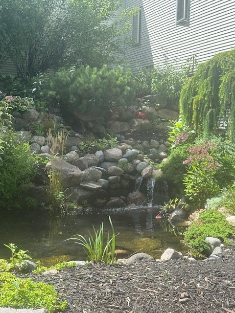 Koi pond With waterfall.