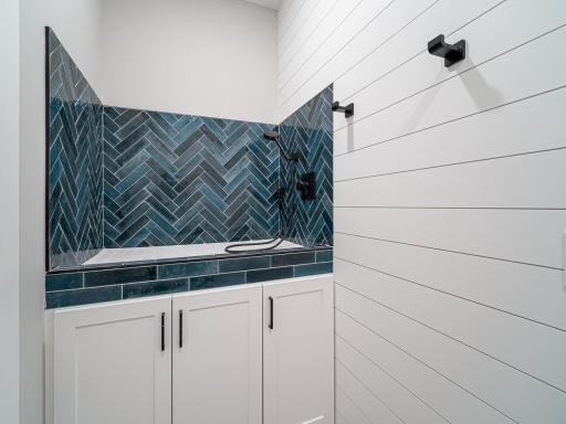 Lower level dog wash, if you have dogs....but if you don't perhaps you incorporate an indoor sauna into your design. They come in all shapes, sizes and don't need to be very large to have optimal impact.