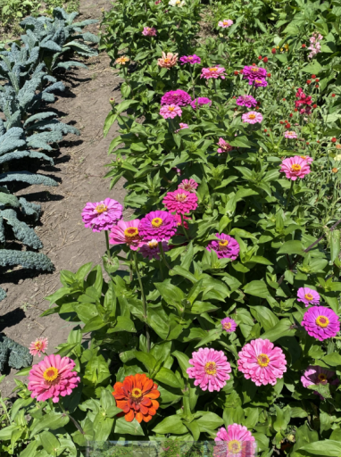 Screenshot 2026-03-17 121603.png