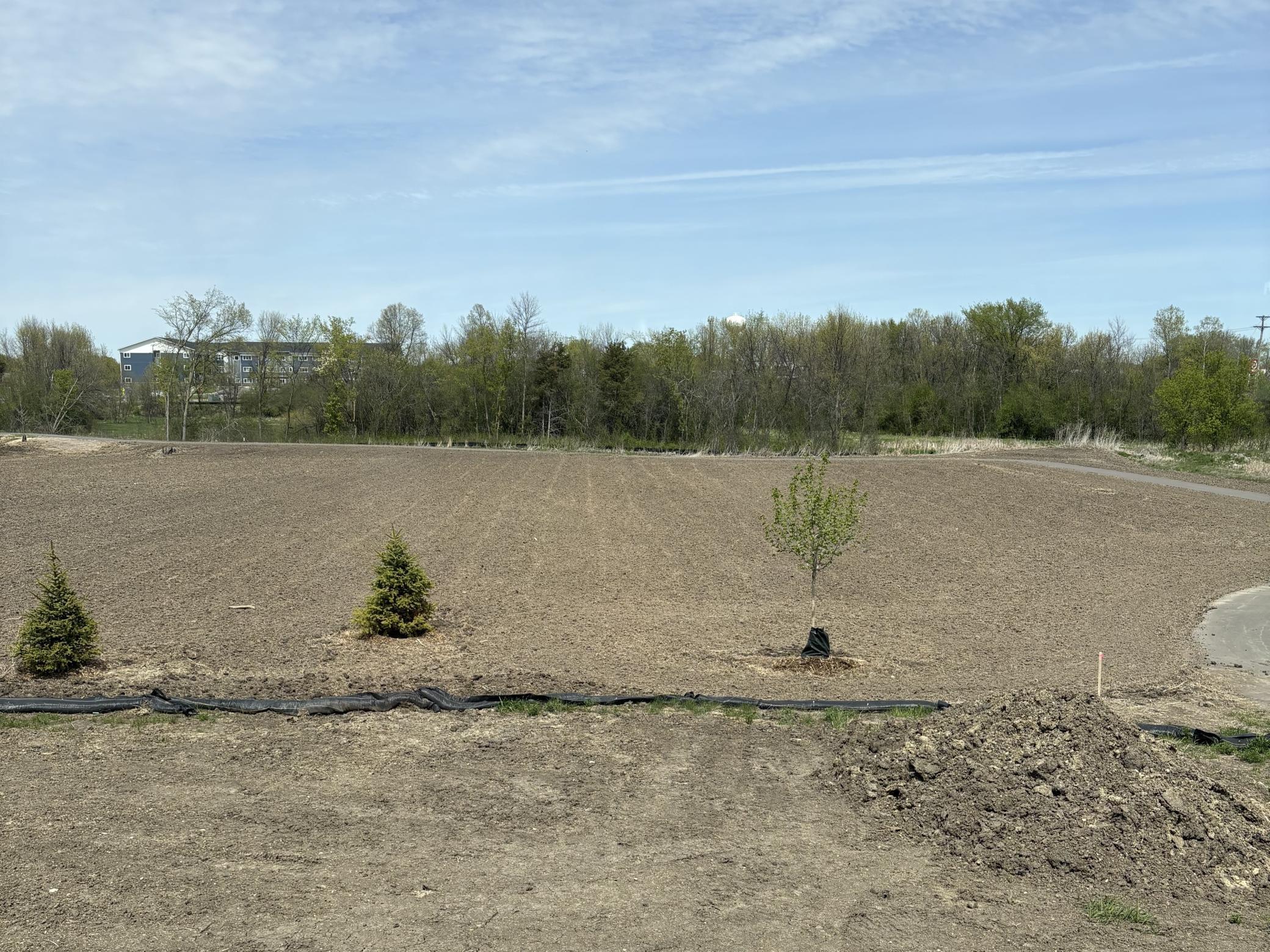 (Photo is of the actual backyard in progress.)