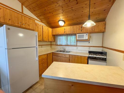 27621 Co Hwy 83, 3, Battle Lake, MN 56515