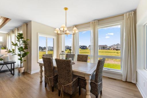 OneTenTen Homes Maverick Model - 19533 Hamburg Ave., Lakeville