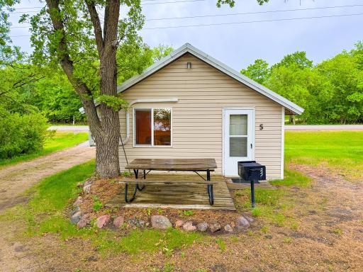 27621 Co Hwy 83, 5, Battle Lake, MN 56515