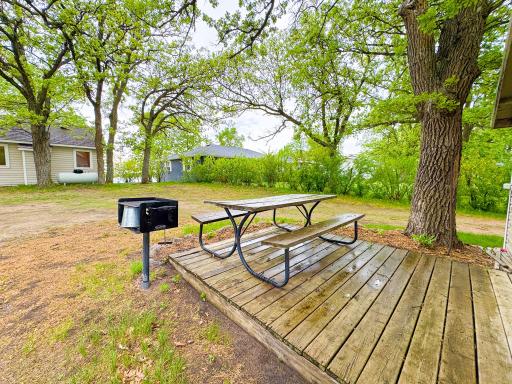27621 Co Hwy 83, 5, Battle Lake, MN 56515