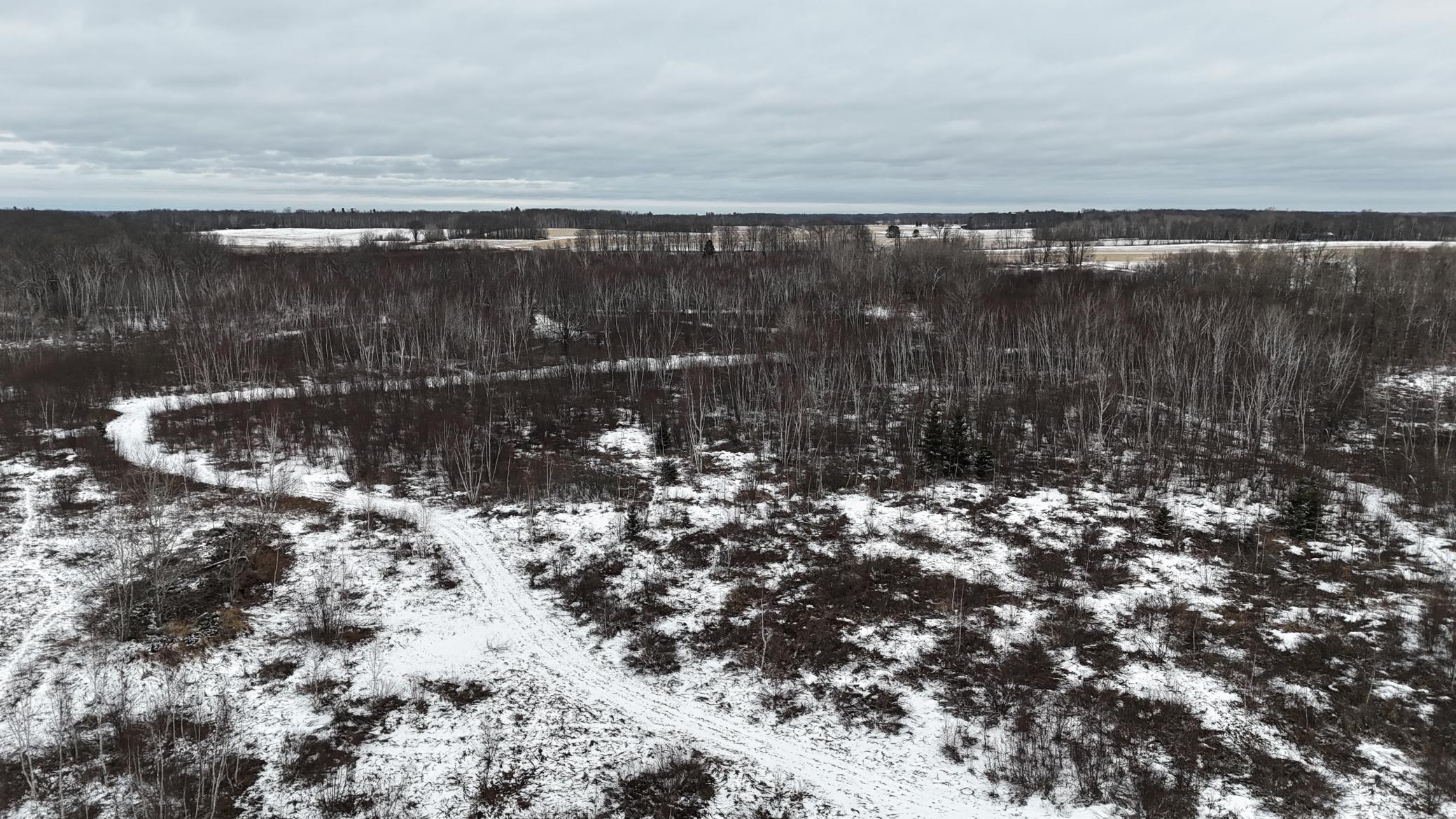 DJI_20260310144700_0271_D.JPG