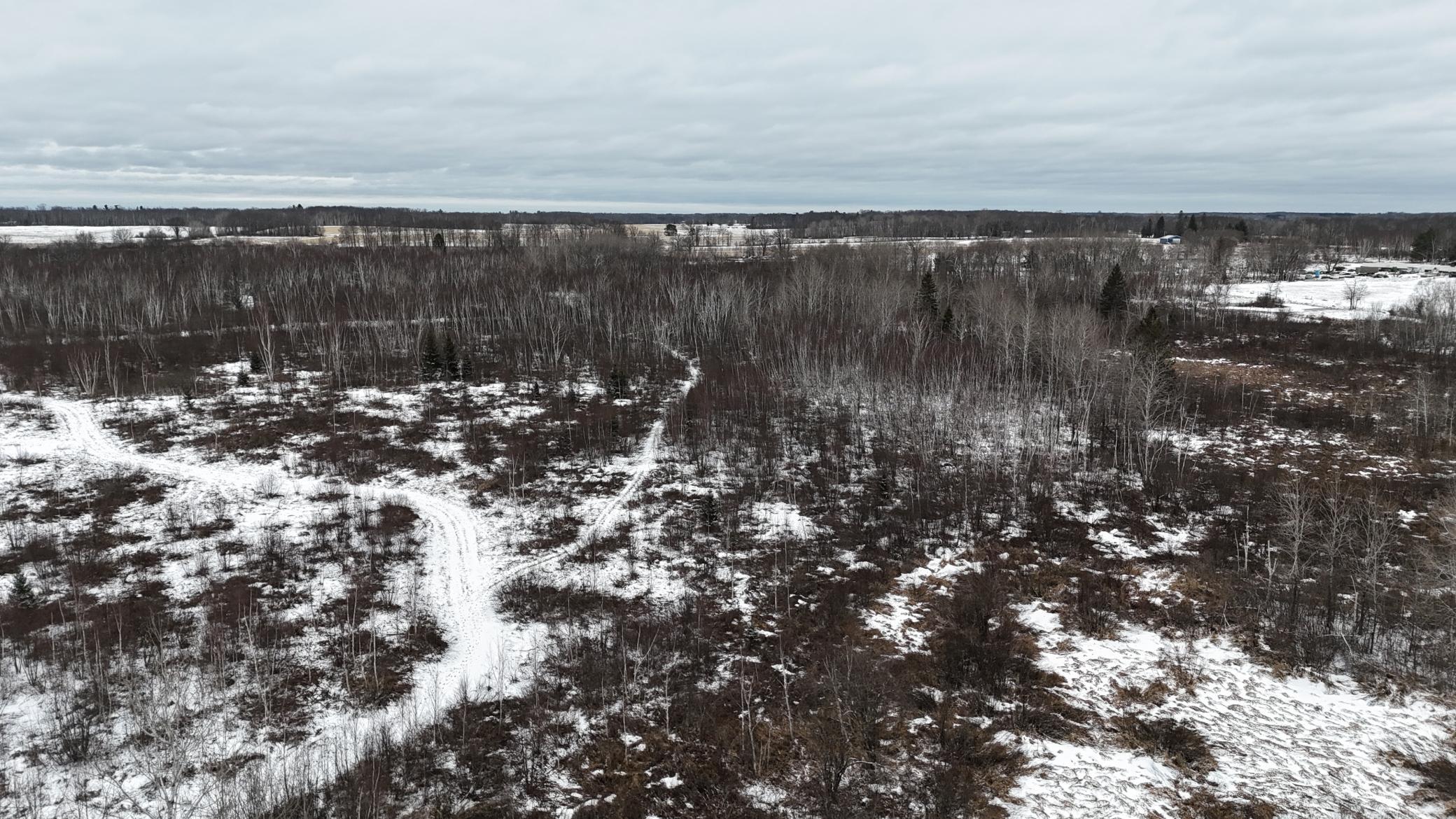 DJI_20260310144553_0269_D.JPG