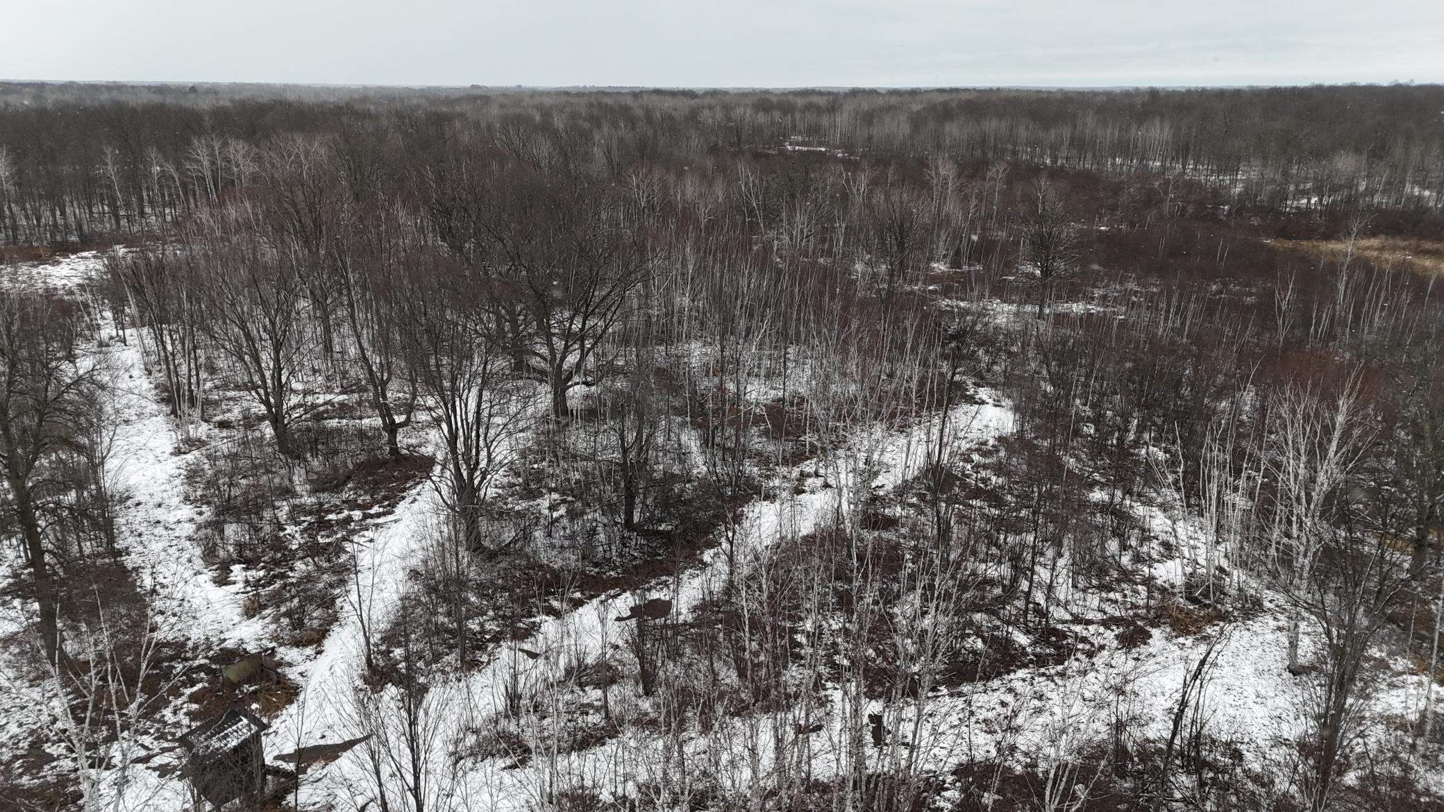 DJI_20260310150538_0276_D.JPG