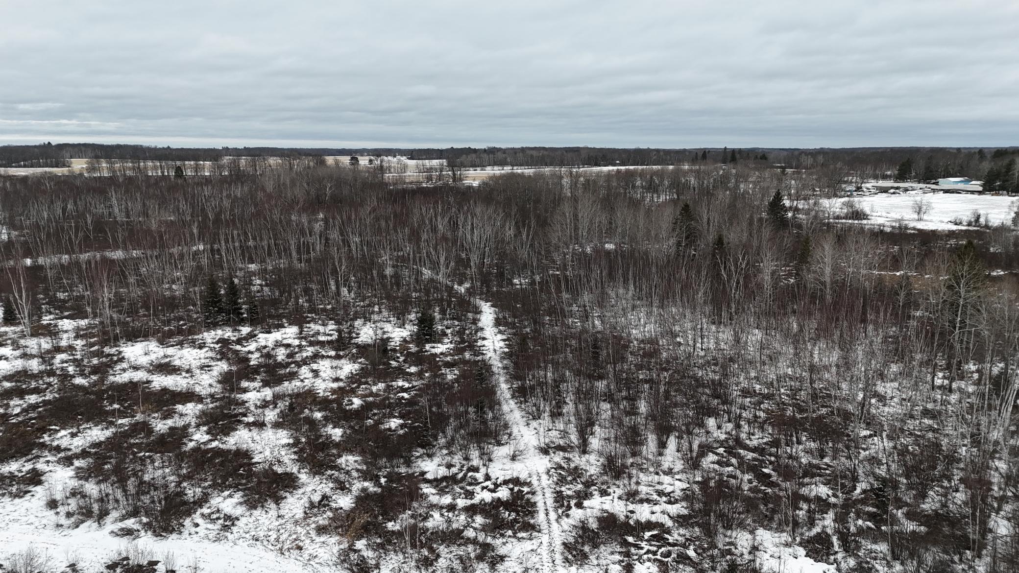 DJI_20260310144715_0272_D.JPG