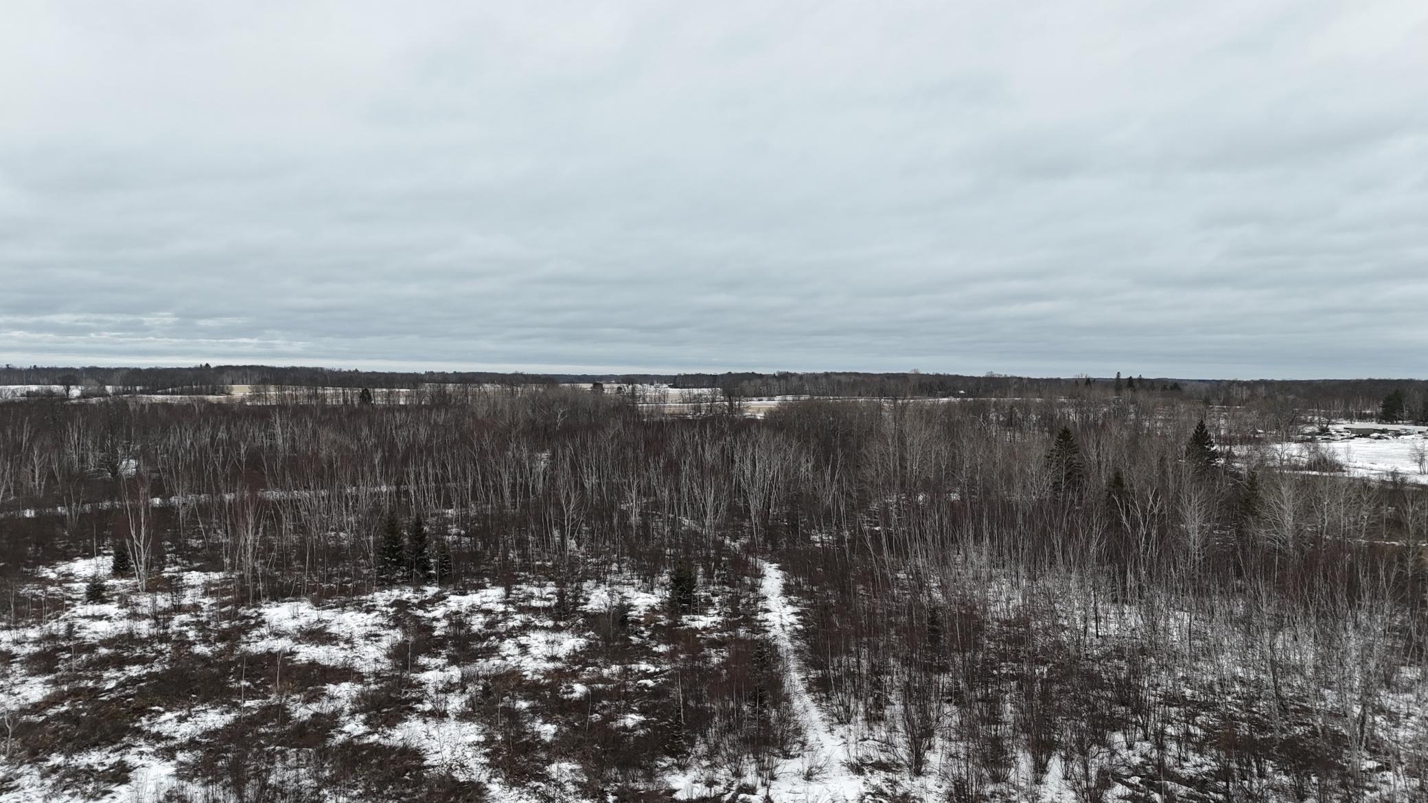 DJI_20260310144743_0274_D.JPG