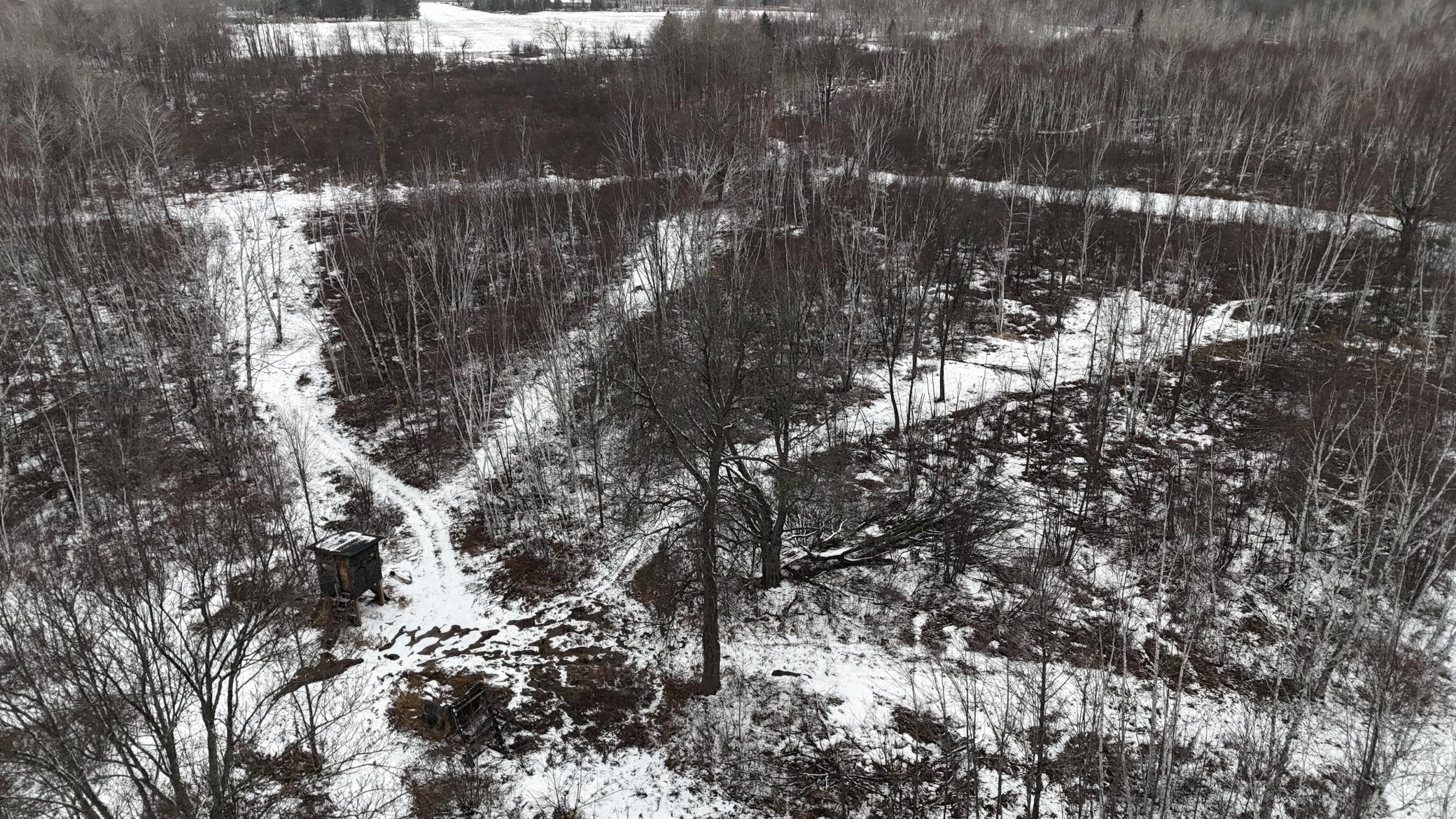 DJI_20260310150639_0279_D.JPG