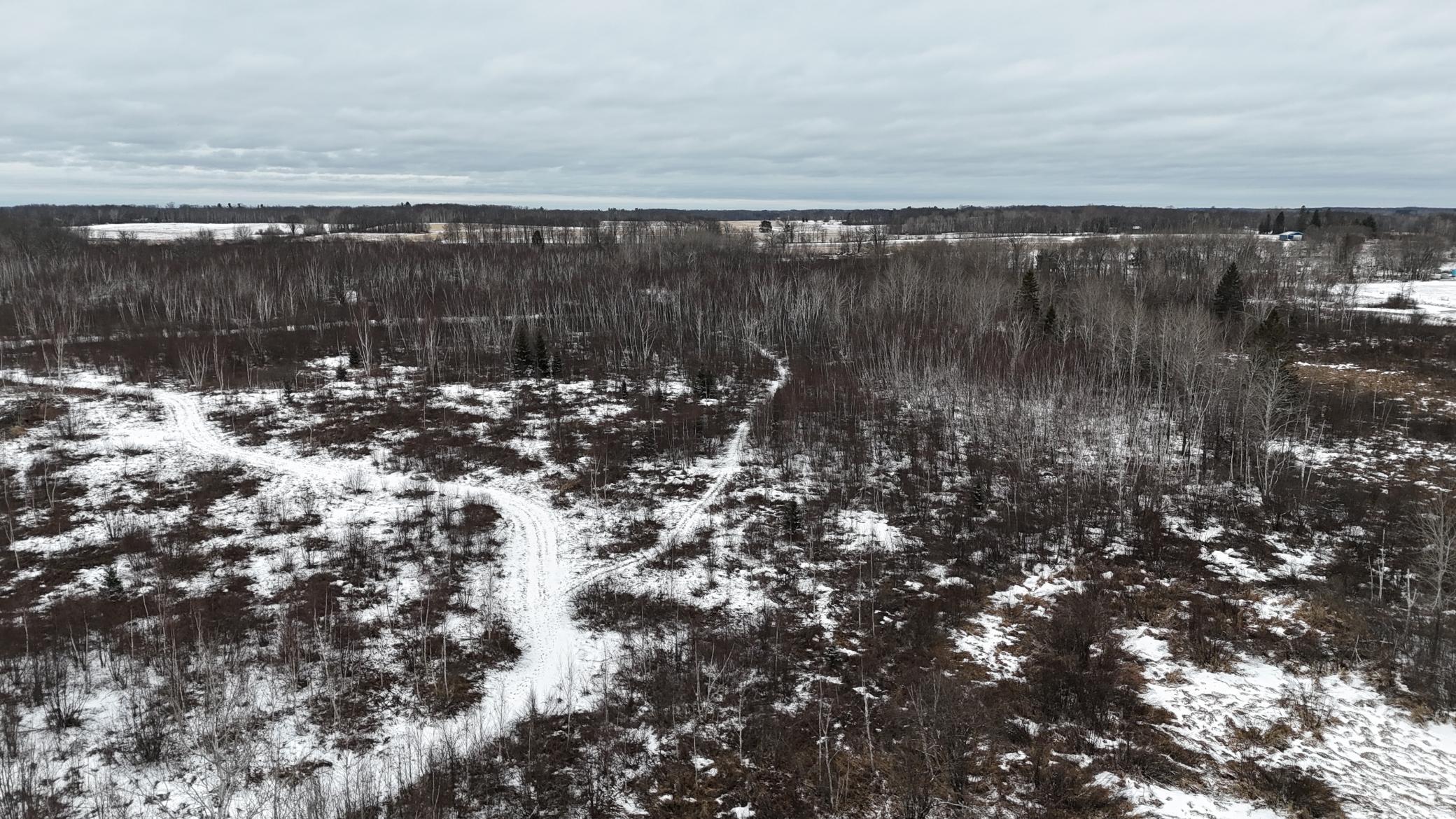 DJI_20260310144614_0270_D.JPG
