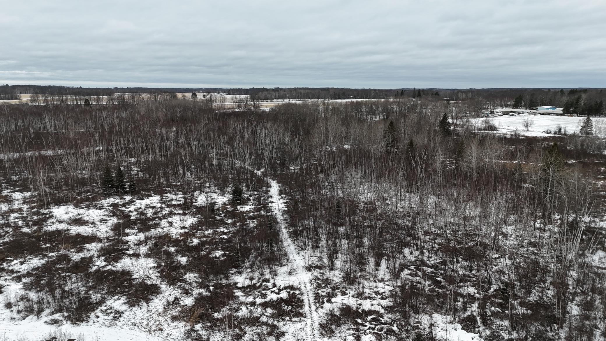 DJI_20260310144722_0273_D.JPG