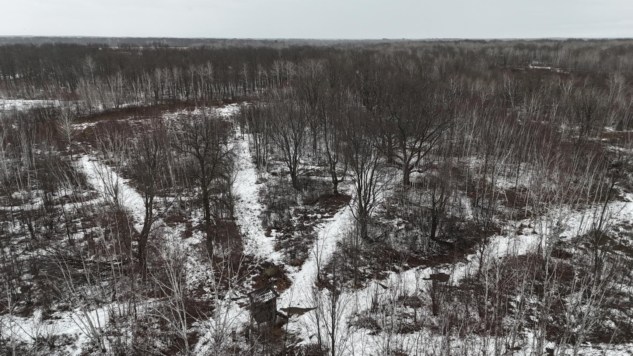 DJI_20260310150533_0275_D.JPG